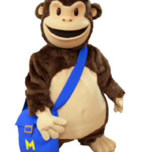 Chimp MailChimp mascot costume custom fancy costume anime cosplay kit mascotte theme fancy dress carnival costume b0474