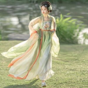 Hanfu Women’s Cheoko Skirt Chinese Traditional Han Clothing Embroidery Super Spring and Summer