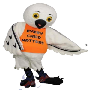Owl mascot costume custom fancy costume anime cosplay kit mascotte theme fancy dress carnival costume b0745