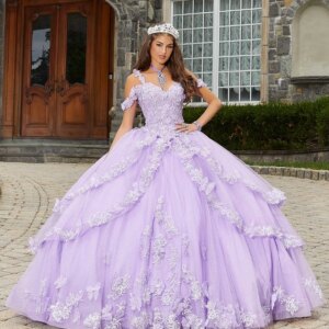 customer-made elegant organza Princess Gown Ball Dresses Victorian Dress Prom Gown Evening Dresses Queen dress P-060