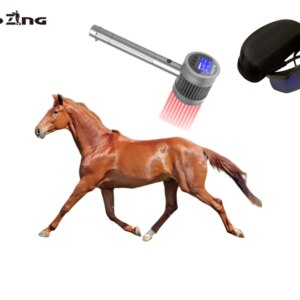 COZING High Power Laser Veterinary Physiotherapy Laser Therapy Equipment Laser For Pain Relief Dogs Horse