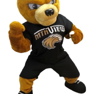 mountain view bear mascot costume custom fancy costume anime cosplay kit mascotte theme fancy dress carnival costume b0010