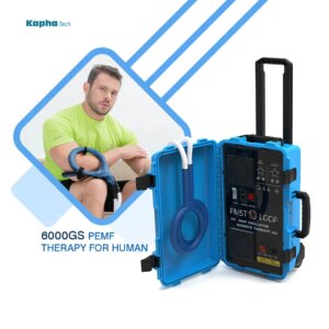PMST Loop Pemf Pulsed Electromagnetic Field Physio Magneto Relaxation Machine