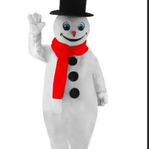 custom made the snow man mascot costume