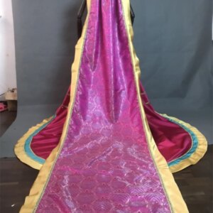 Movie Princess Cosplay Costume Adult Women Stage Performance Dress Fancy Halloween Carnival Party Gown