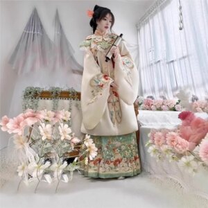 Hanfu female dress set daily ancient clothing