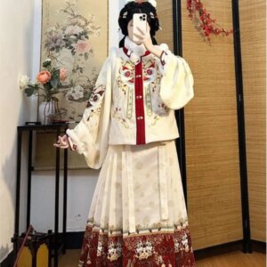 New robe set Hanfu Chinese-style bijia skirt bowing Hanfu