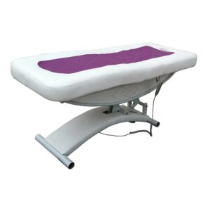 beutySalon Furniture Spa Table De Massage Facial Bed