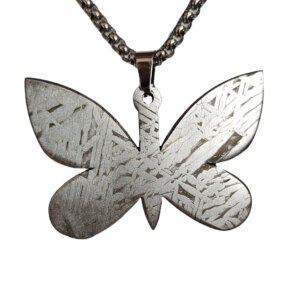 27.2g Muonionalusta meteorite pendant Natural iron meteorite pendant Meteorite slice Collection -LK081