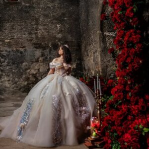 Customized champagne color Off Shoulder Quinceanera Dress Tull sequin applique layering flower vestidos de 15 Quinceanera