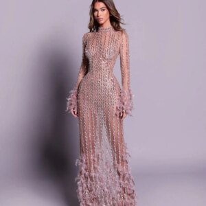 Illusion beaded Straight Long Evening Dress For Women Exquisite Feathers Wedding Party Gown Customized High Collar Prom Dresses