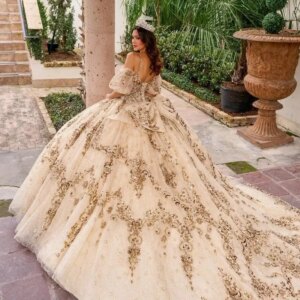 Champagne Shiny Quinceanera Dresses Ball Gown Spaghetti Strap Tulle Appliques Lace Beads Sweet 16 Dresses Vestidos De 15 Años