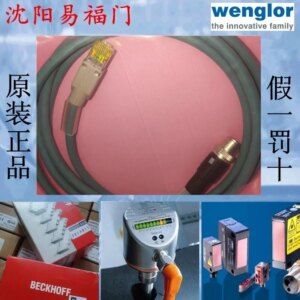 2025.4Wegler Cable ZC1V001 Brand New Original Genuine, In Stock, 8-pin, X-decode-RJ45
