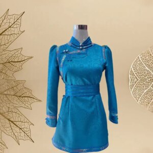 Autumn 2025 New Long-Sleeved Mongolian Robe National Style Top Mid-Length Waiter Work Clothes Life Wear Lining