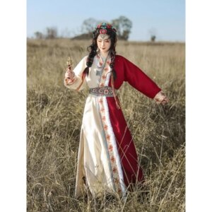 Ethnic Minority Tibetan Clothing Female Adult National Style Han Elements Collar Straight Chic Robe Winter Performance Costumes