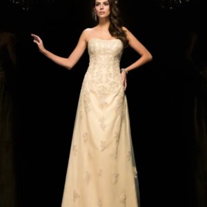 Champagne Mother Of The Bride Dresses A-line Chiffon Appliques Plus Size Long Groom Mother Dresses For Wedding Customized