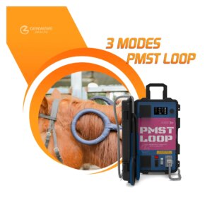 Advanced Veterinary PMST Loop Equipment for Accelerating Animal Recovery in Professional Clinics physiotherapy equipment