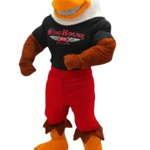 eagle mascot costume hawk falcon custom fancy costume anime cosplay kit mascotte theme fancy dress carnival costume b0132