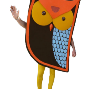 Bird Owl Awake mascot costume custom fancy costume anime cosplay kit mascotte theme fancy dress carnival costume b0461