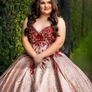 Customized Stylish Appliques Quinceanera Dresses Rhinestones Grid Sweetheart Satin Ball Gown Vestidos De 15 Anos