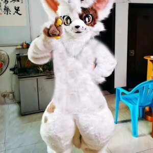 Medium Length Fur Husky Dog Fox Mascot Costume Walking Halloween Christmas and Large-scale Activity Suit Role Play