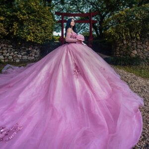 Pink Shiny Princess Sweet 16 Quinceanera Dresses Off The Shoulder Applique Flower Beading Crystal Tull Corset Party Birthday