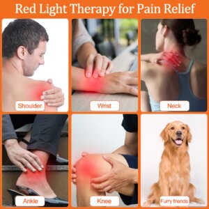 Cold Laser Therapy Infrared Physiotherapy Lamp 808nm 650nm Chiropractic Use for Pain and Tendonitis Healing