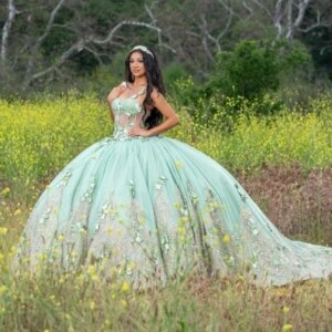 Sage Green Shiny Off Shoulder Quinceanera Dress Prom Dress Floral Applique Princess Dress Lace Beads weet 15Year Old Party Dress