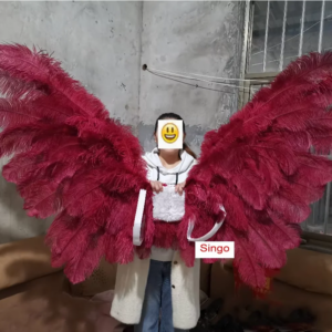 Customized high quality Burgundy Ostrich feather ANGEL Wings Pure Handmade Amazing Decoration and shooting props