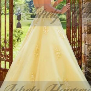 Customized Sky Blue Prom Dresses Special Occasion Wear V Neck Flower Applique Backless A Line Long Women Formal Evening Dress