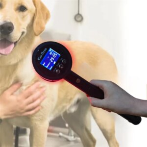 Class 4 Laser Horse Hoof Tendon Recovery Wound Healing Powerful 808nm and 650nm Laser for Animal Use