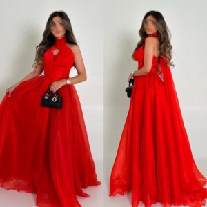 Customized Simple Classic Halter Ball gown Backless Draped Floor-Length Organza Bespoke Occasion Dresses Evening