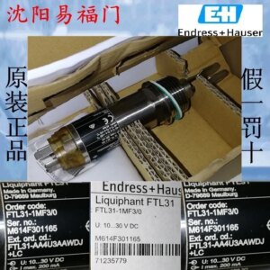 2025.4FTL31-1MF3/0,FTL31-AA4U3AAWDJ