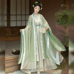 Song Style Gradient Embroidered Placket Chinese Traditional Han Clothing Suspenders One Waist Pleated Skirt Adult Hanfu Women’s