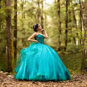 Customized Exquisite Sweetheart Quinceanera Dresses Tulle Cathedral Train Lace up Ball Gownrobe Vestidos De 15 Años