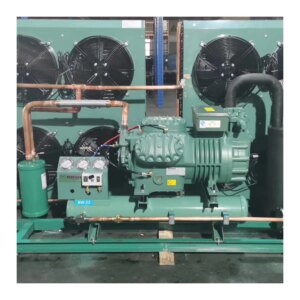 50HP condensing unit high power big cold storage refrigeration system fruits and vegetables storage room