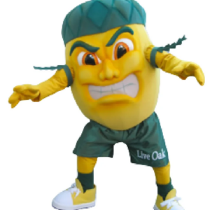 Acorn Live Oak mascot costume custom fancy costume anime cosplay kit mascotte theme fancy dress carnival costume b0530