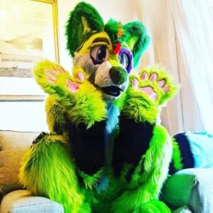 Husky DogMascot Costume Long Fur Fox Fursuit Halloween Suit Cosplay