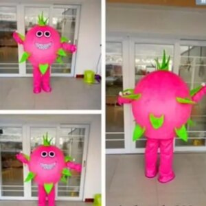New Adult High Quality Professional Pitaya Mascot Costume Christmas Fancy Dress Halloween Mascot Costume