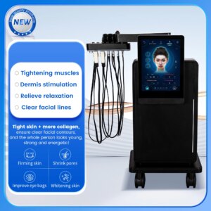 6500w Portable Weight Loss Nova Radio Frequency Electromagnetic Stimulation