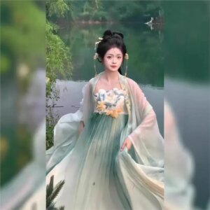 Hanfu ancient style four chest chebule skirt big sleeve shirt embroidery