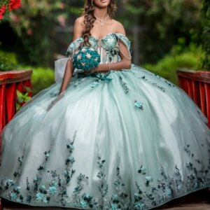Light Green Quinceanera Dresses Off Shoulder Ball Gown Sweet 16 Dress Applique Lace Beads Tull Birthday Party Vestidos 15 Anos