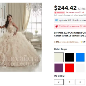 Customized Dubai Glitter Quinceanara Gown Evening Dresses V Neck Saudi Vestidos De Fiesta Bespoke Pageant Gown Plus