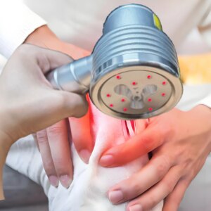Two Probes, 16 Diodes Multifunctional Laser Devices for Pain Relief