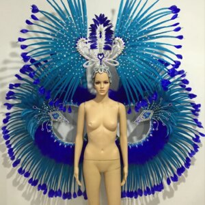 stage performance, ostrich hair, backboard dance team, headgear, opening feather atmospheric clothing, optional multiple pieces