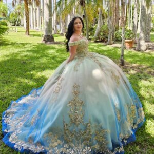Light Sage Green Blue Quinceanera Dresses Ball Gown Lace Applique Beading Tull Corset Sweet 16 Dress Vestidos De 15 Anos