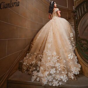 Mexican Quinceanera Dress Ball Gown 3D Floral Applique Beading Corset Sweet 16 Dress Vestidos De XV 15 Anos