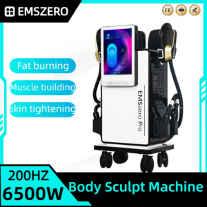 DLS-EMSZERO Nova Machine Professional Body Sculpting 6500W Ems RF Muscle Stimulation Weight Loss Muscle Training