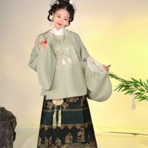 Traditional stand collar Hanfu Chinese style embroidered version daily suit