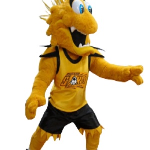 Storm Chicago mascot costume custom fancy costume anime cosplay kit mascotte theme fancy dress carnival costume b0523